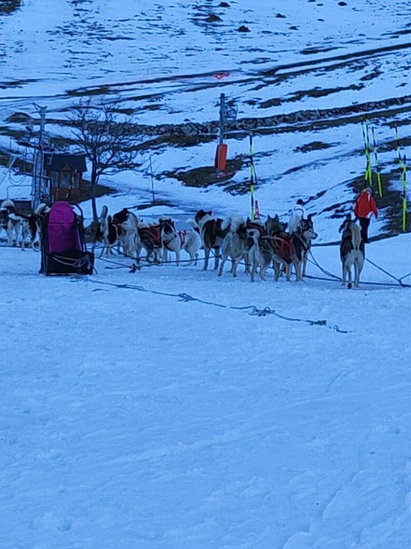 Appart 4/6 Pers Pied Des Pistes La Mongie 巴涅尔德比戈尔 外观 照片